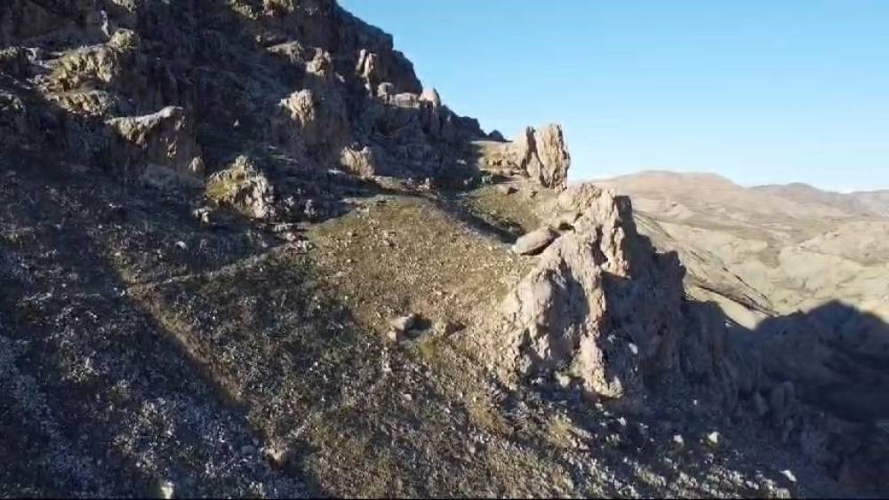 Tarihi Palu İlçesinde Gezen Dağ Keçileri Dron İle Görüntülendi